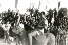 Palio-1957 (9)