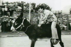 Palio 1978 (3)