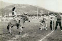 Palio 1984 (2)