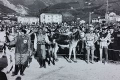 Palio 1958 (7)
