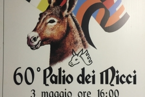 60° Palio dei Micci (2015)