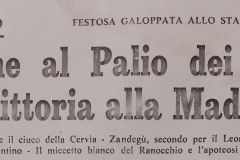 Palio 1967 (3)