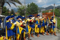 Palio 2009 (1)