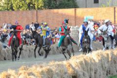 Palio 2011 (10)