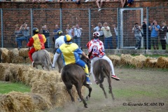 Palio 2011 (11)