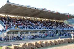 Palio 2011 (13)