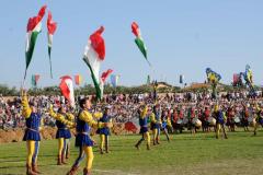 Palio 2011 (5)