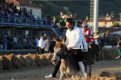 Palio 2011 (9)